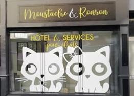 Moustache et Ronron, le nouvel hôtel pour chats de Lorient