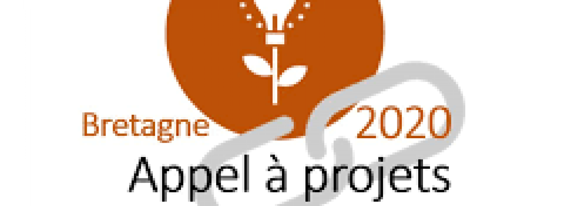 Le 5ème appel à « projet innovation collaborative 2020 » récompense deux projets morbihannais